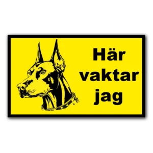 Här-vaktar-jag-dobermann-skylt-dekal-klistermärke